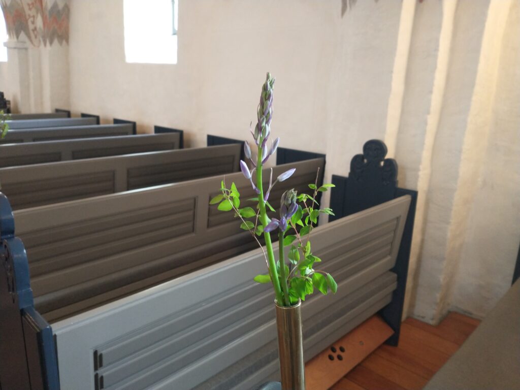 Skads Kirke og kirkegård - Maj 2022